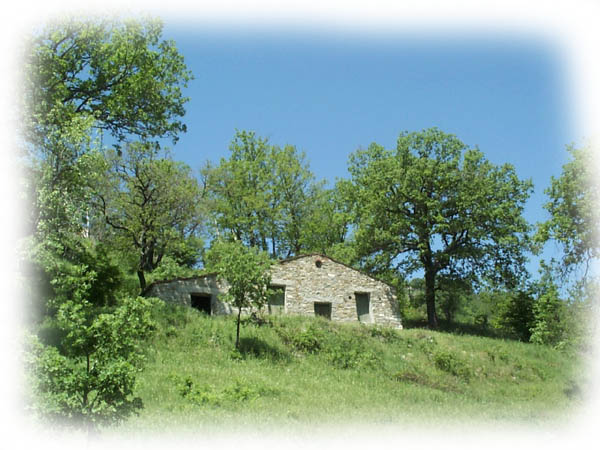 Ein Anwärter für 'Ruine der Reise'