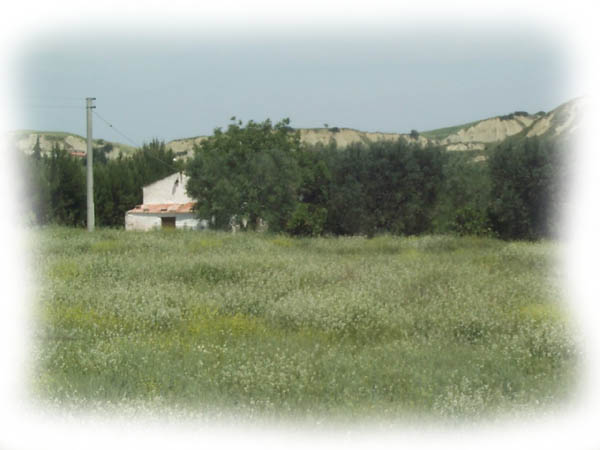 Basilicata Mitte. Typisch !