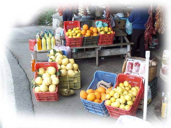 Die Melonen in der roten Kiste sind Zitronen. Wirklich !